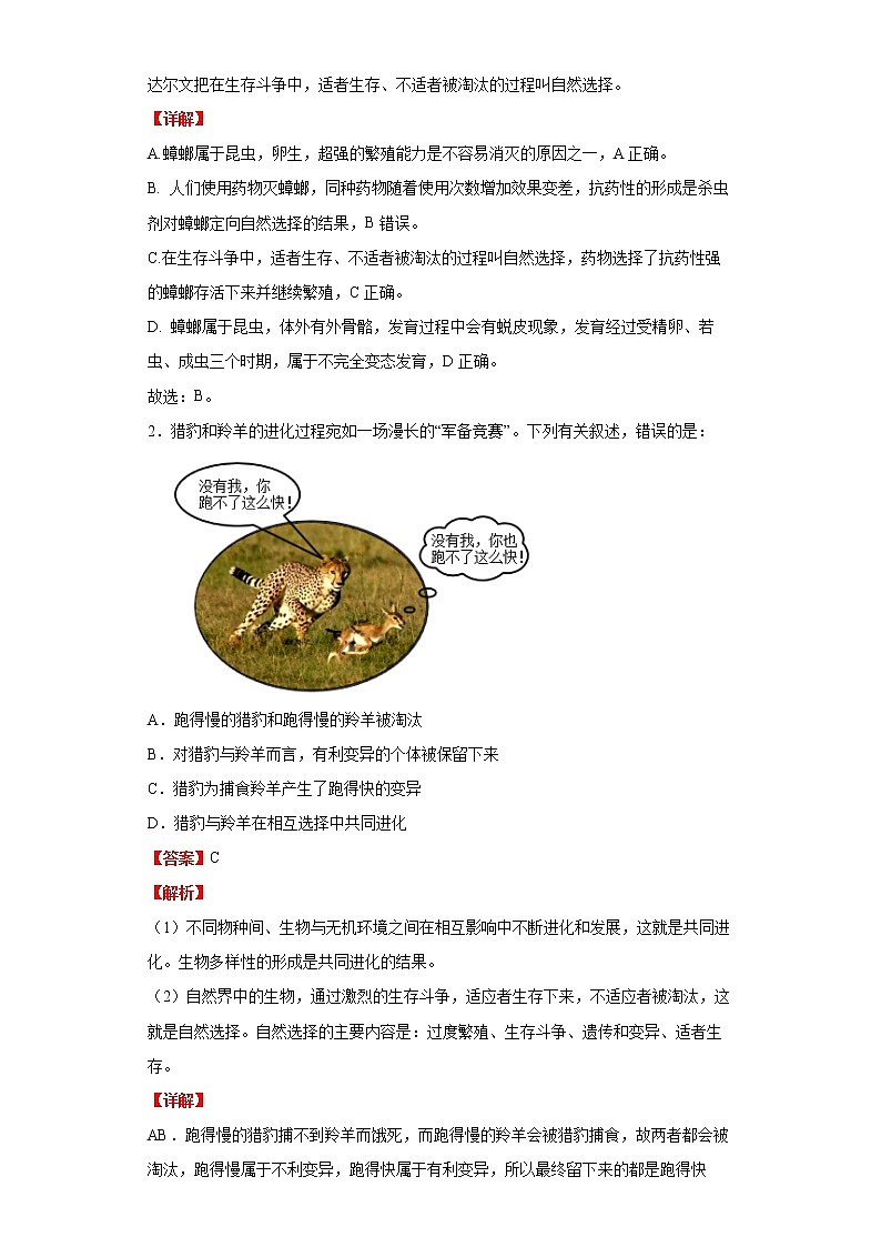 备战2023生物新中考二轮复习考点精讲精练（北京专用）专题12生命的起源和生物的进化03