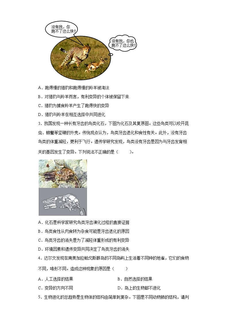 备战2023生物新中考二轮复习考点精讲精练（北京专用）专题12生命的起源和生物的进化03