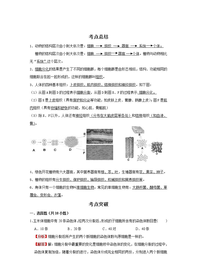 备战2023生物新中考二轮复习考点精讲精练（广东专用）专题03 细胞怎样构成生物体01