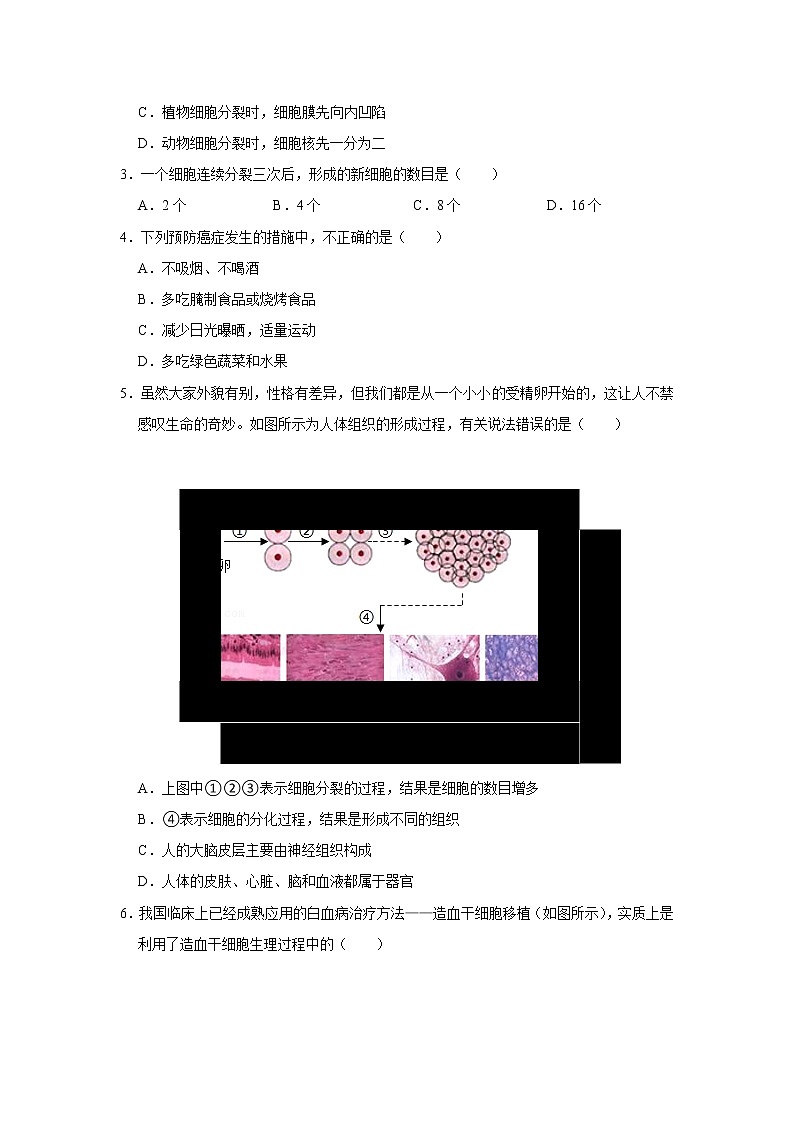 备战2023生物新中考二轮复习考点精讲精练（广东专用）专题03 细胞怎样构成生物体02