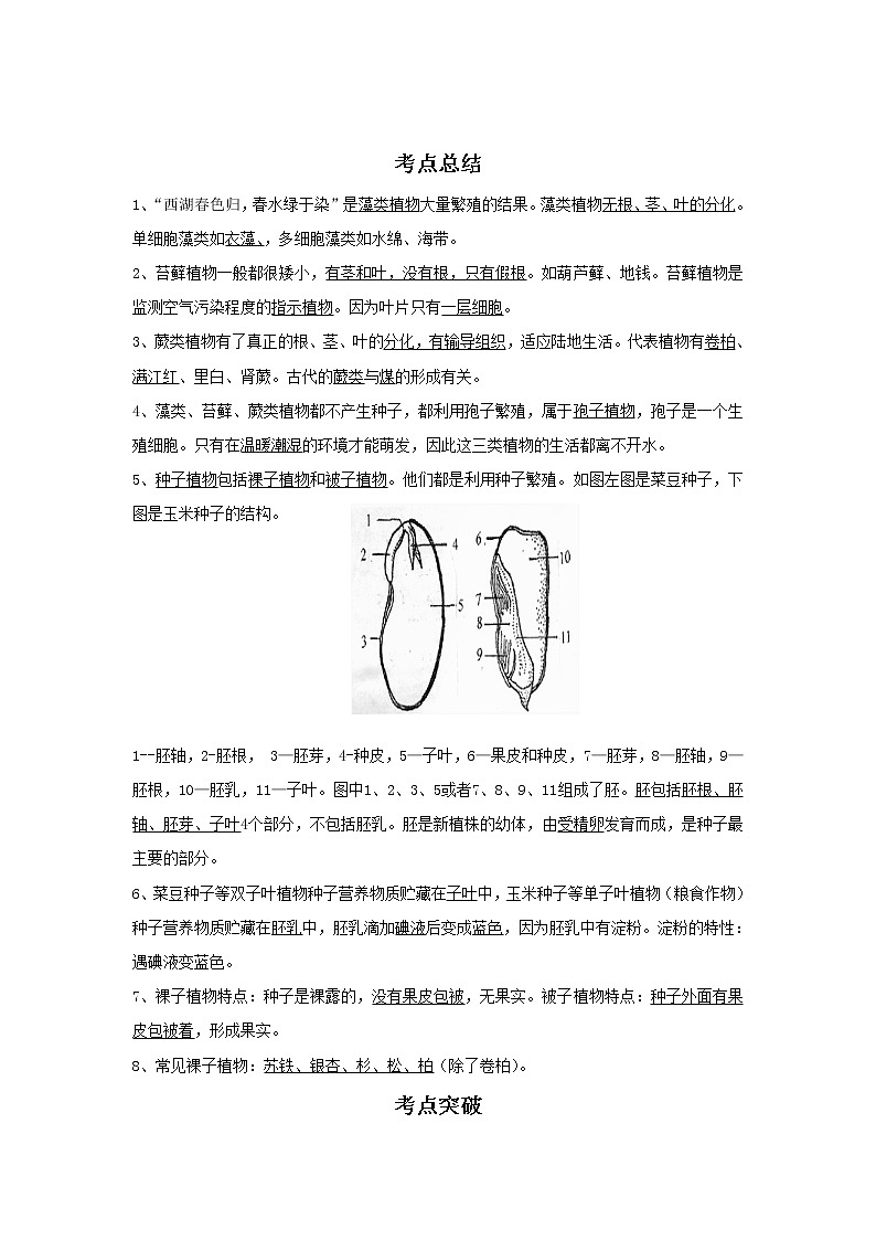 备战2023生物新中考二轮复习考点精讲精练（广东专用）专题04 生物圈中有哪些绿色植物（解析版）第1页