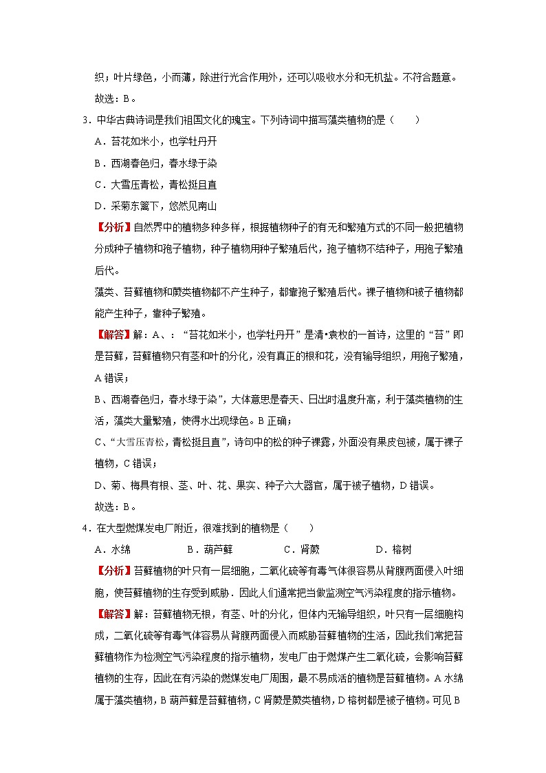 备战2023生物新中考二轮复习考点精讲精练（广东专用）专题04 生物圈中有哪些绿色植物（解析版）第3页