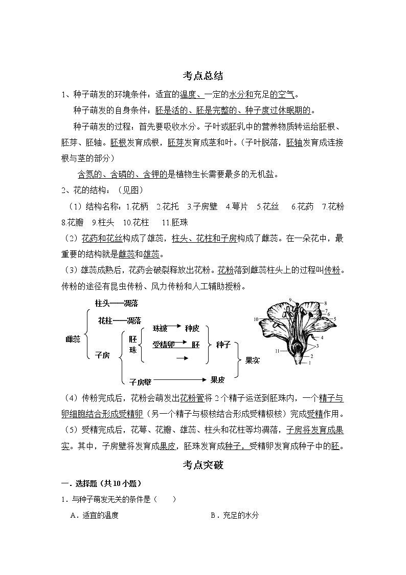 备战2023生物新中考二轮复习考点精讲精练（广东专用）专题05 绿色开花植物的一生（原卷版）第1页