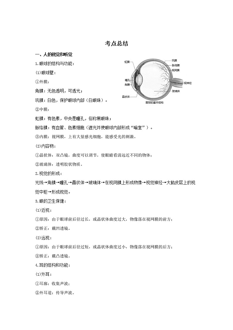 备战2023生物新中考二轮复习考点精讲精练（广东专用）专题13 人体生命活动的调节01