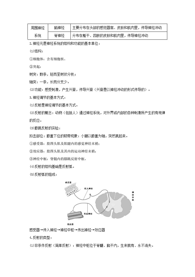 备战2023生物新中考二轮复习考点精讲精练（广东专用）专题13 人体生命活动的调节03