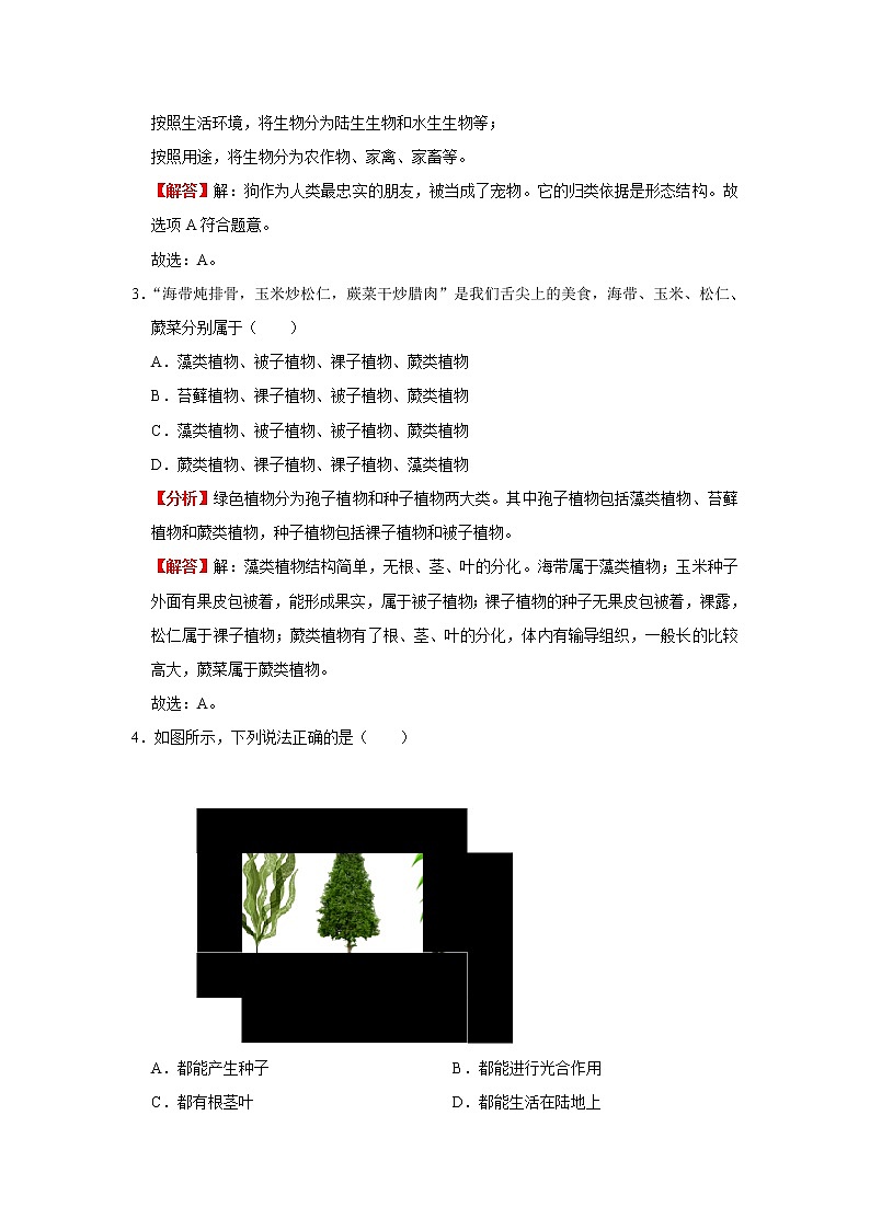 备战2023生物新中考二轮复习考点精讲精练（广东专用）专题16生物的多样性及其保护03