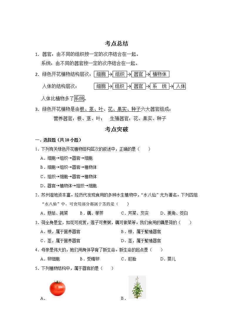 备战2023生物新中考二轮复习考点精讲精练（江苏专用）专题03生命体的结构层次01