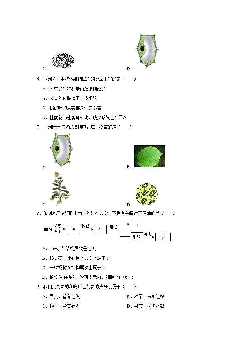 备战2023生物新中考二轮复习考点精讲精练（江苏专用）专题03生命体的结构层次02