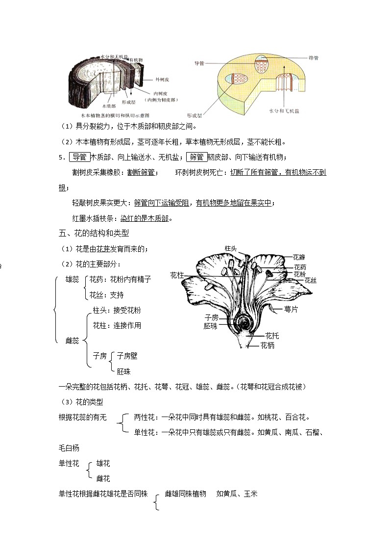 备战2023生物新中考二轮复习考点精讲精练（江苏专用）专题06植物的一生03