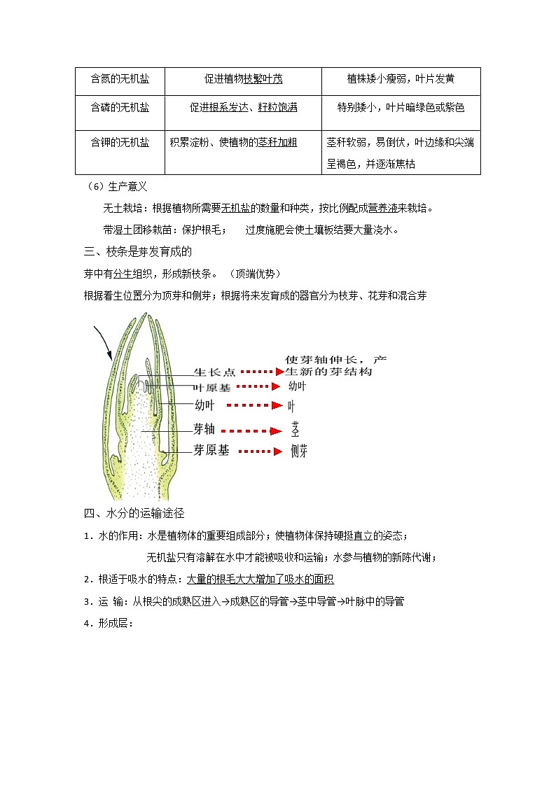 备战2023生物新中考二轮复习考点精讲精练（江苏专用）专题06植物的一生02
