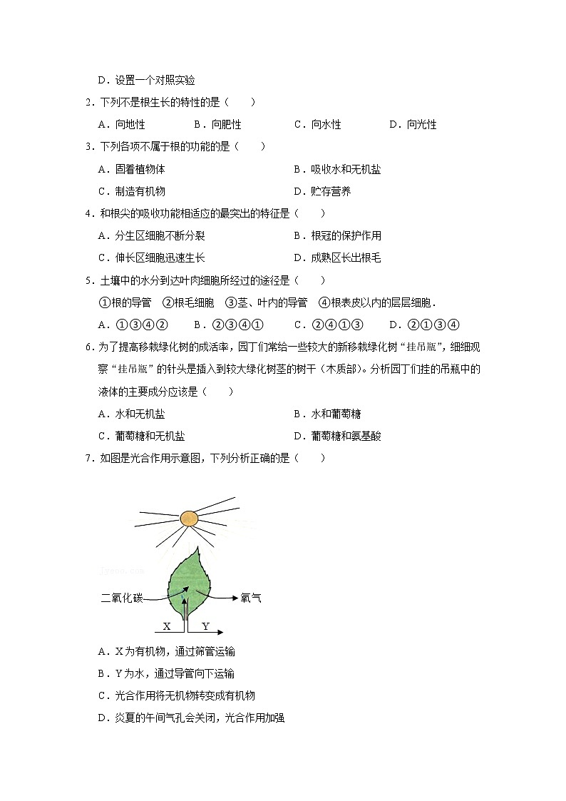 备战2023生物新中考二轮复习考点精讲精练（江苏专用）专题07植物的生活需要水和无机盐02