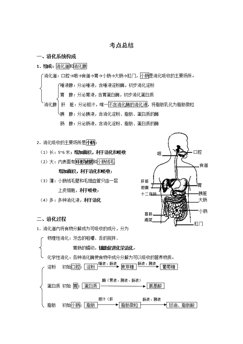 备战2023生物新中考二轮复习考点精讲精练（江苏专用）专题09人的消化系统（原卷版）第1页
