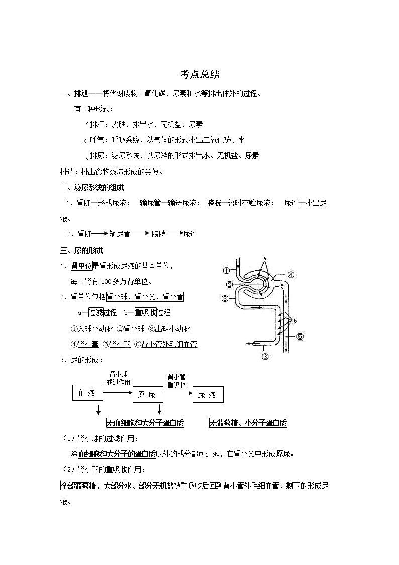 备战2023生物新中考二轮复习考点精讲精练（江苏专用）专题11人的泌尿系统01