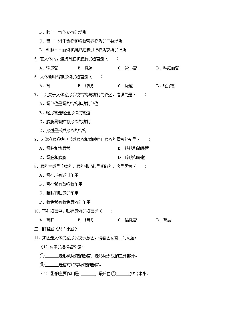 备战2023生物新中考二轮复习考点精讲精练（江苏专用）专题11人的泌尿系统03