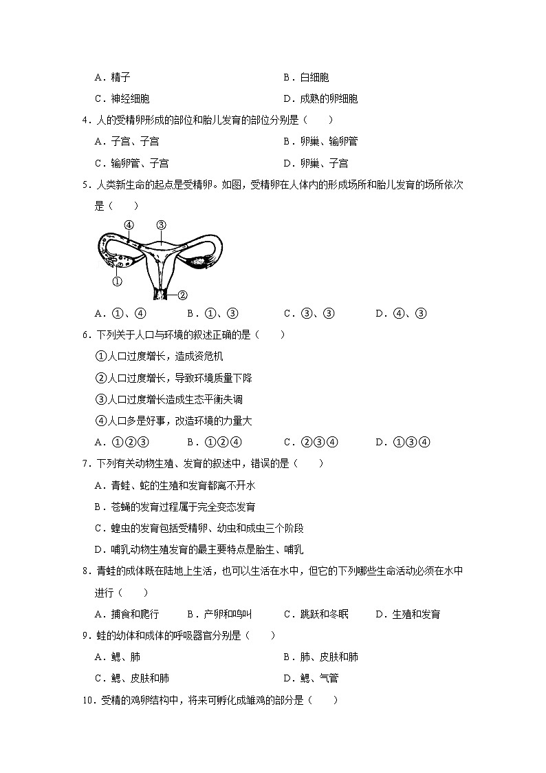 备战2023生物新中考二轮复习考点精讲精练（江苏专用）专题14生物的生殖、发育与遗传03