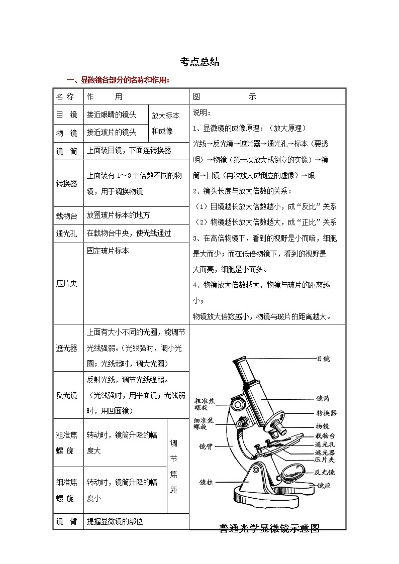 备战2023生物新中考二轮复习考点精讲精练（山东专用）专题03框架生物体的结构层次01