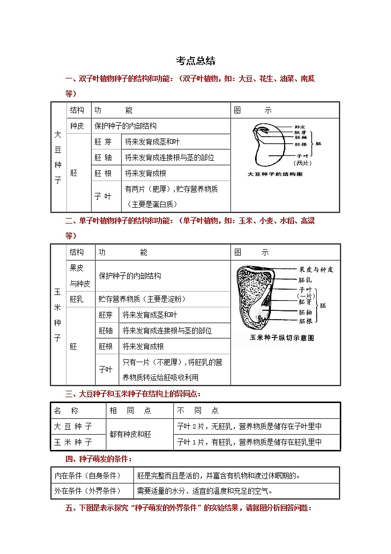 备战2023生物新中考二轮复习考点精讲精练（山东专用）专题04生物圈的绿色植物01