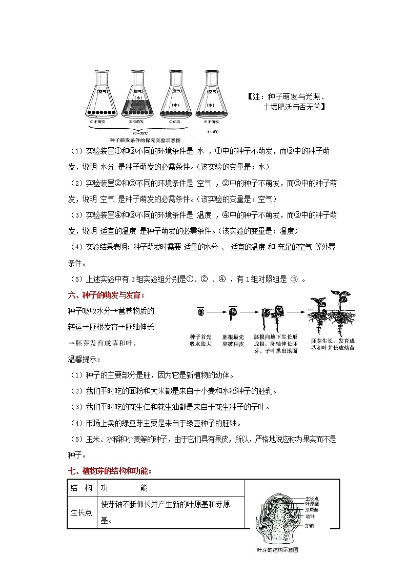 备战2023生物新中考二轮复习考点精讲精练（山东专用）专题04生物圈的绿色植物02