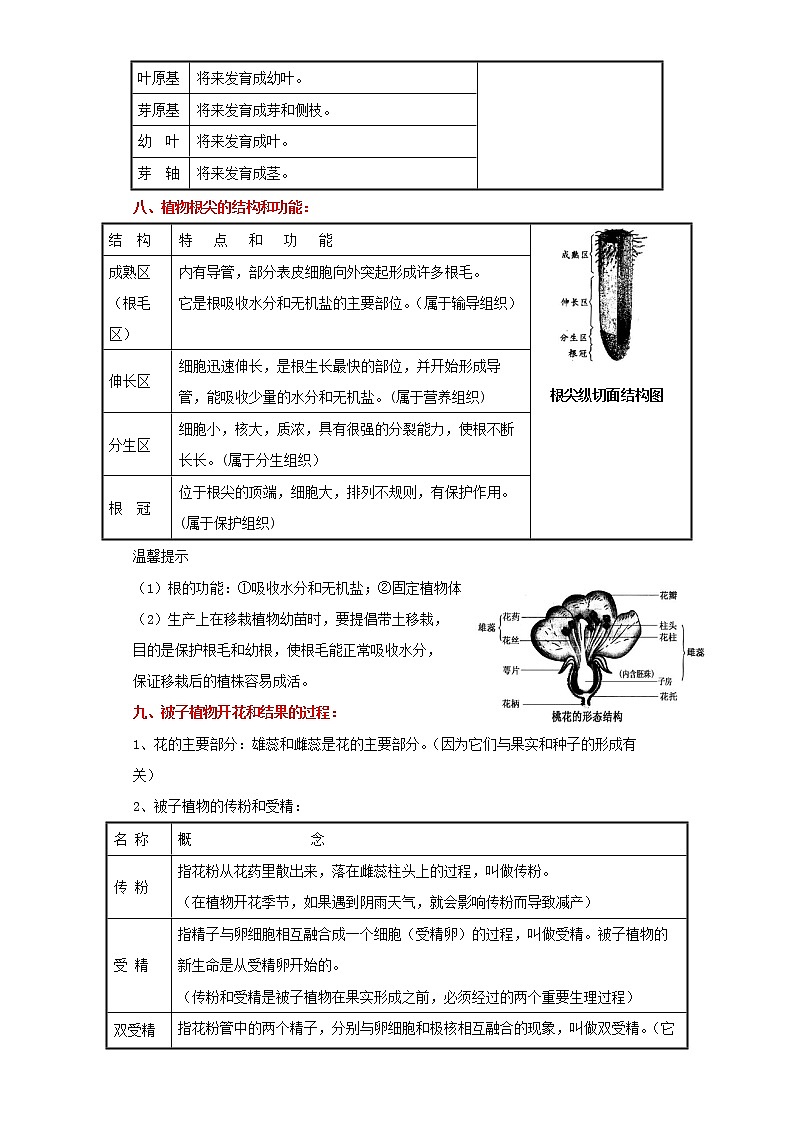 备战2023生物新中考二轮复习考点精讲精练（山东专用）专题04生物圈的绿色植物03