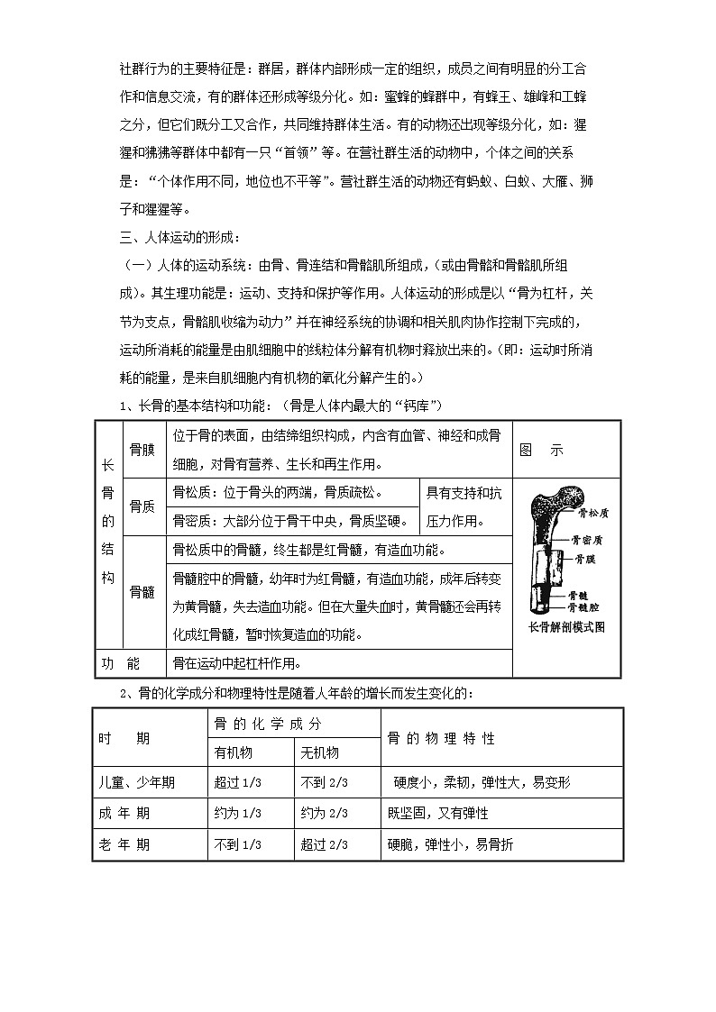 备战2023生物新中考二轮复习考点精讲精练（山东专用）专题07动物的运动和行为（解析版）第2页