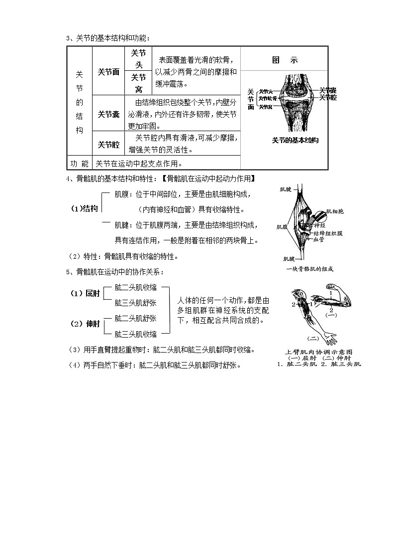 备战2023生物新中考二轮复习考点精讲精练（山东专用）专题07动物的运动和行为（原卷版）第3页