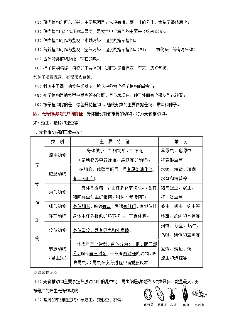 备战2023生物新中考二轮复习考点精讲精练（山东专用）专题08生物的多样性03