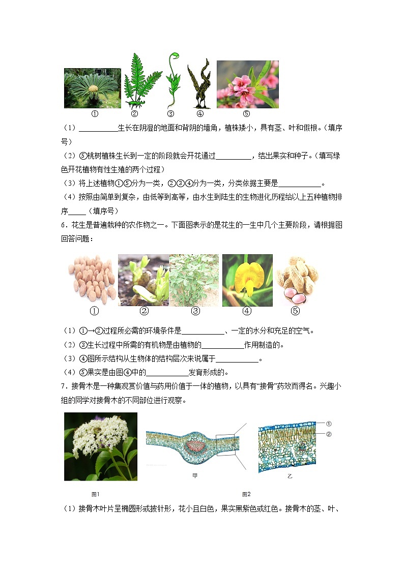 专练05（强化基础综合40题）-备战 2023 中考生物考前必杀200题（江苏专用）（原卷版）第3页