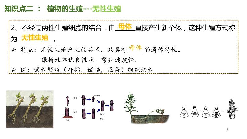 专题27 生物的生殖和发育八年级下册一轮复习课件精讲与习题精练第5页