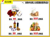 8.1 《人类的食物》课件PPT+教案+同步练习