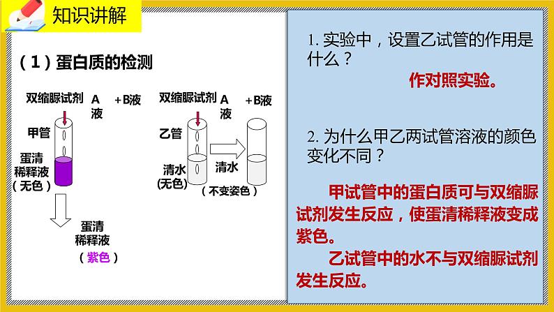 8.1 《人类的食物》   课件第7页