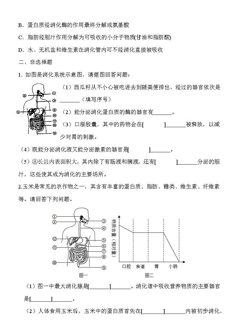 8.2.2 《食物的消化和营养物质的吸收》  同步作业第2页