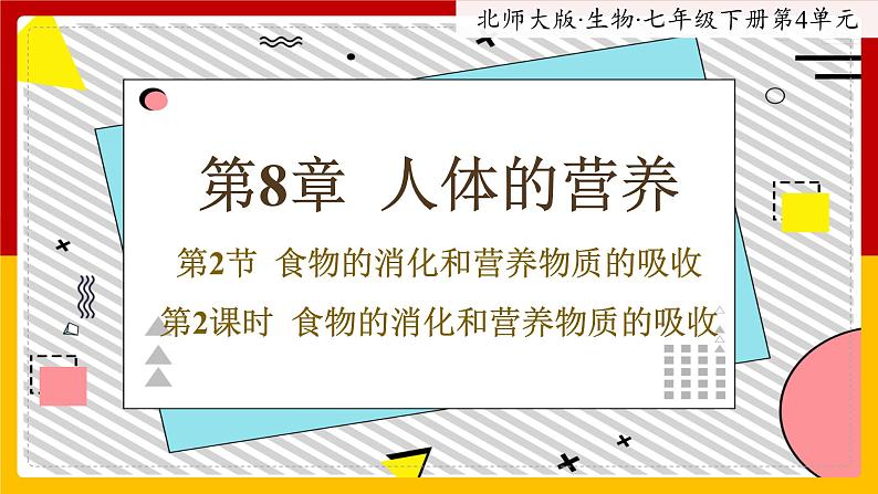 8.2.2《食物的消化和营养物质的吸收》课件第1页