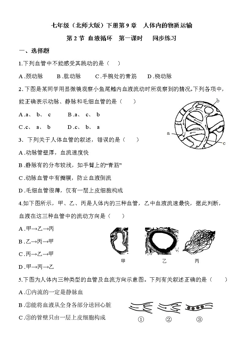 9.2.1《血液循环》课件PPT+教案+同步练习01