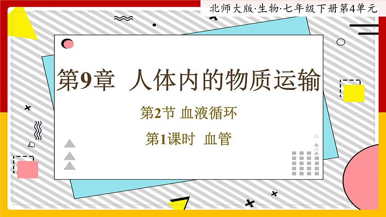 9.2.1《血液循环》课件PPT+教案+同步练习01