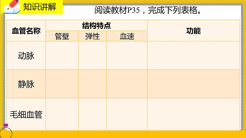 9.2.1《血液循环》课件PPT+教案+同步练习05