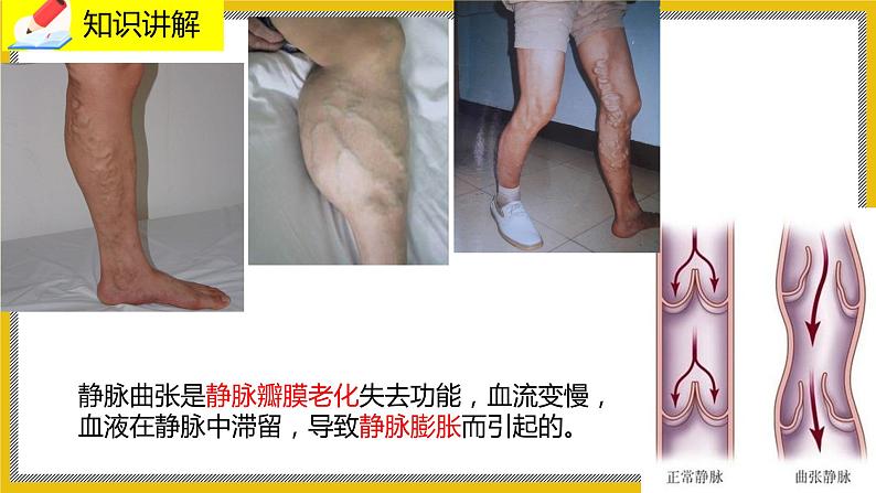 9.2.1《血液循环》课件PPT+教案+同步练习08