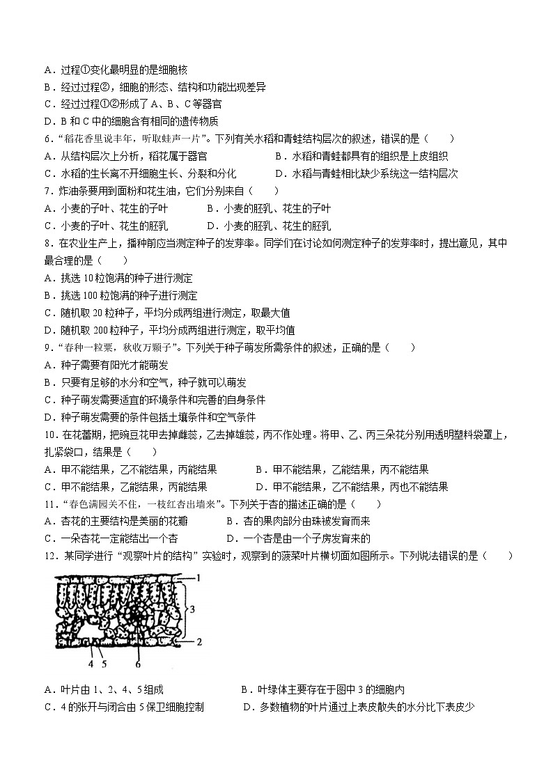 河南省平顶山市2022-2023学年七年级上学期期末生物试题(含答案)第2页