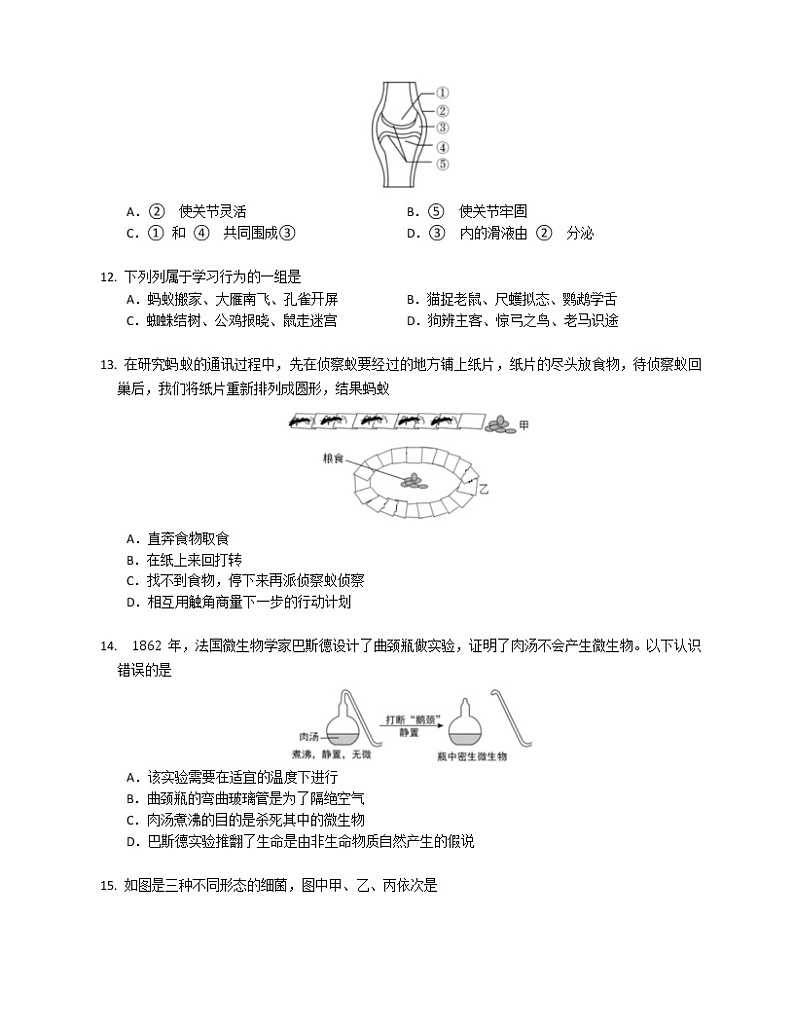 湖南省益阳市大通湖区三新联盟校2022-2023学年八年级上学期期末线上测试生物试题(含答案)03