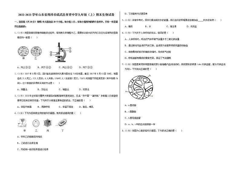 2022-2023学年山东省菏泽市成武县育青中学九年级（上）期末生物试卷01