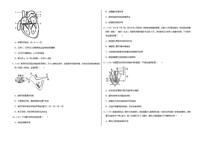 2022-2023学年山东省菏泽市成武县育青中学九年级（上）期末生物试卷02