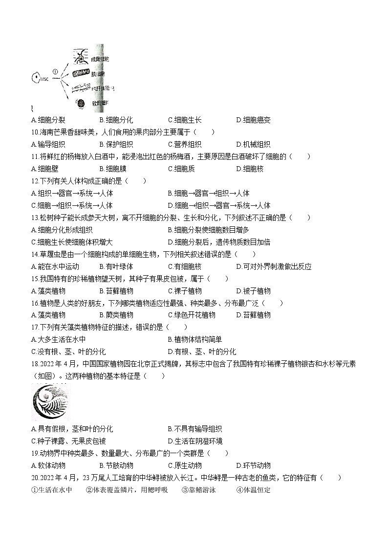 河北省承德市兴隆县2022-2023学年七年级上学期期末生物试题(含答案)第2页