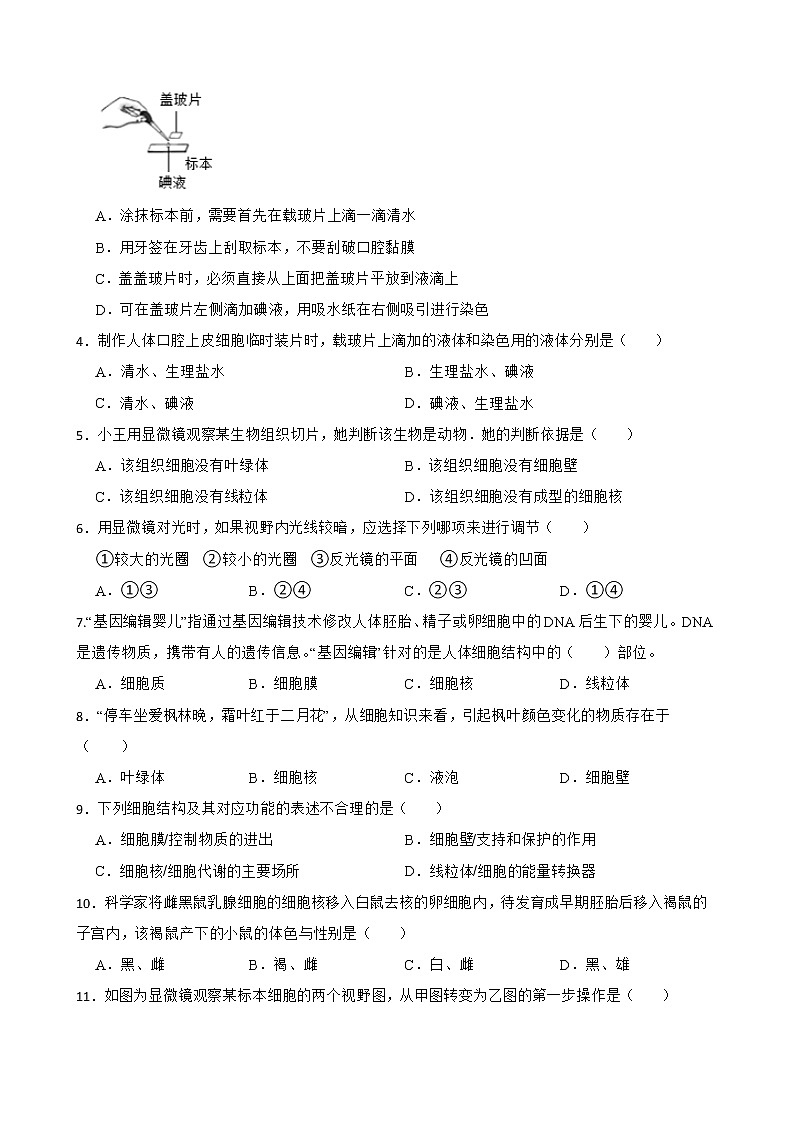初中生物中考复习 【人教版】2023届中考一轮复习专用训练卷—专题3 细胞是生命活动的基本单位（二）（含解析）第2页