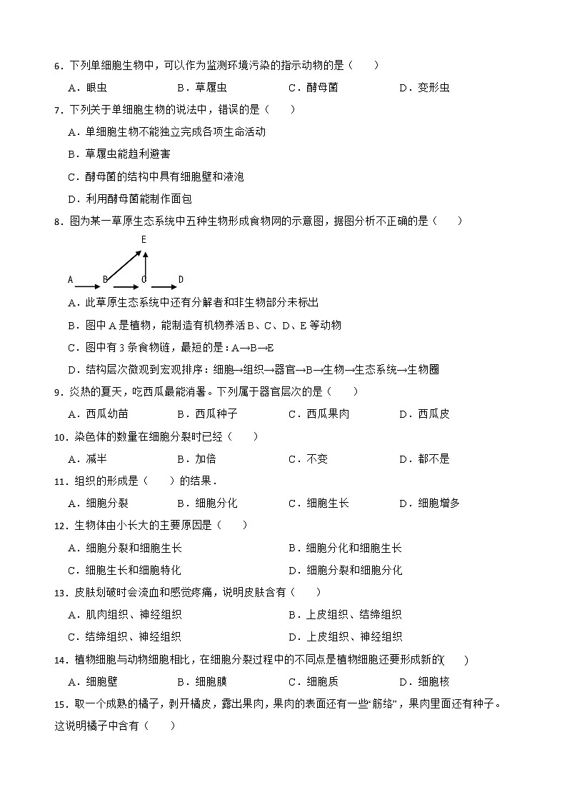 初中生物中考复习 【人教版】2023届中考一轮复习专用训练卷—专题4 细胞怎样构成生物体（ 含解析）第2页