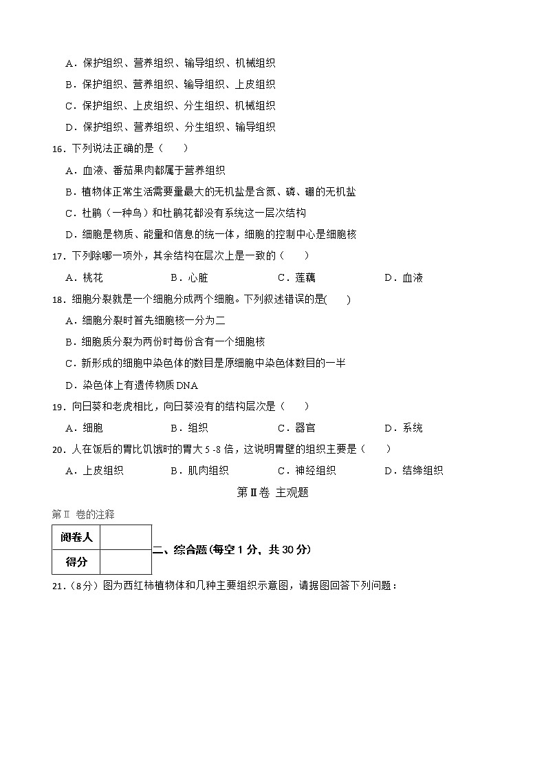 初中生物中考复习 【人教版】2023届中考一轮复习专用训练卷—专题4 细胞怎样构成生物体（ 含解析）第3页