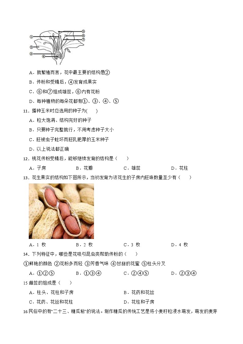 初中生物中考复习 【人教版】2023届中考一轮复习专用训练卷—专题6 被子植物的一生（ 含解析）第3页