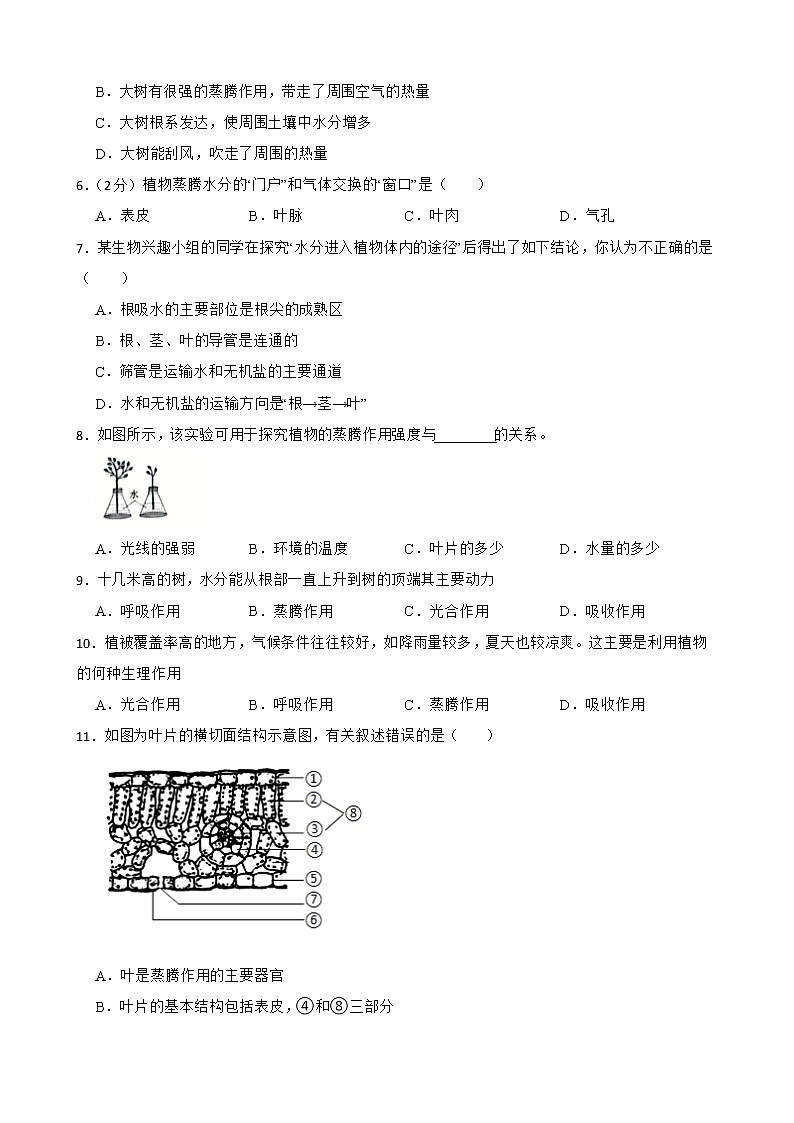 初中生物中考复习 【人教版】2023届中考一轮复习专用训练卷—专题7 绿色植物与生物圈的水循环 （含解析）02