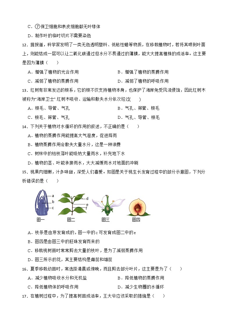 初中生物中考复习 【人教版】2023届中考一轮复习专用训练卷—专题7 绿色植物与生物圈的水循环 （含解析）03
