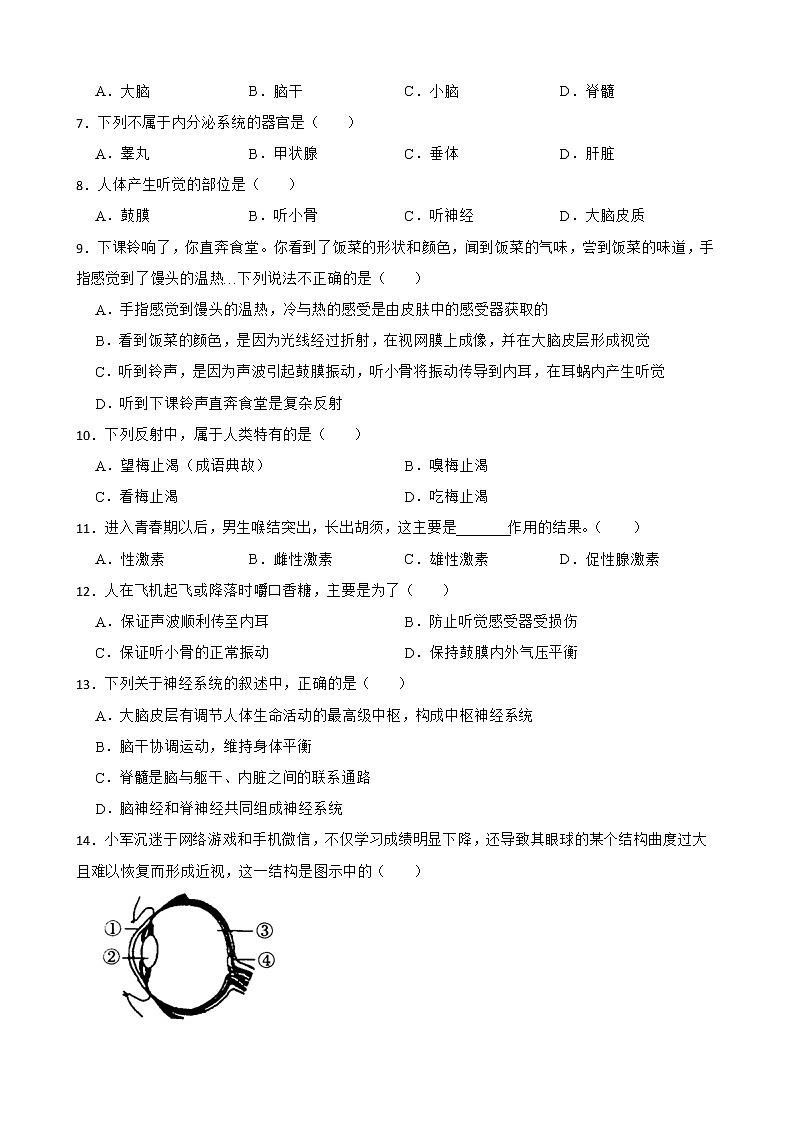 初中生物中考复习 【人教版】2023届中考一轮复习专用训练卷—专题15 人体生命活动的调节（ 含解析）02