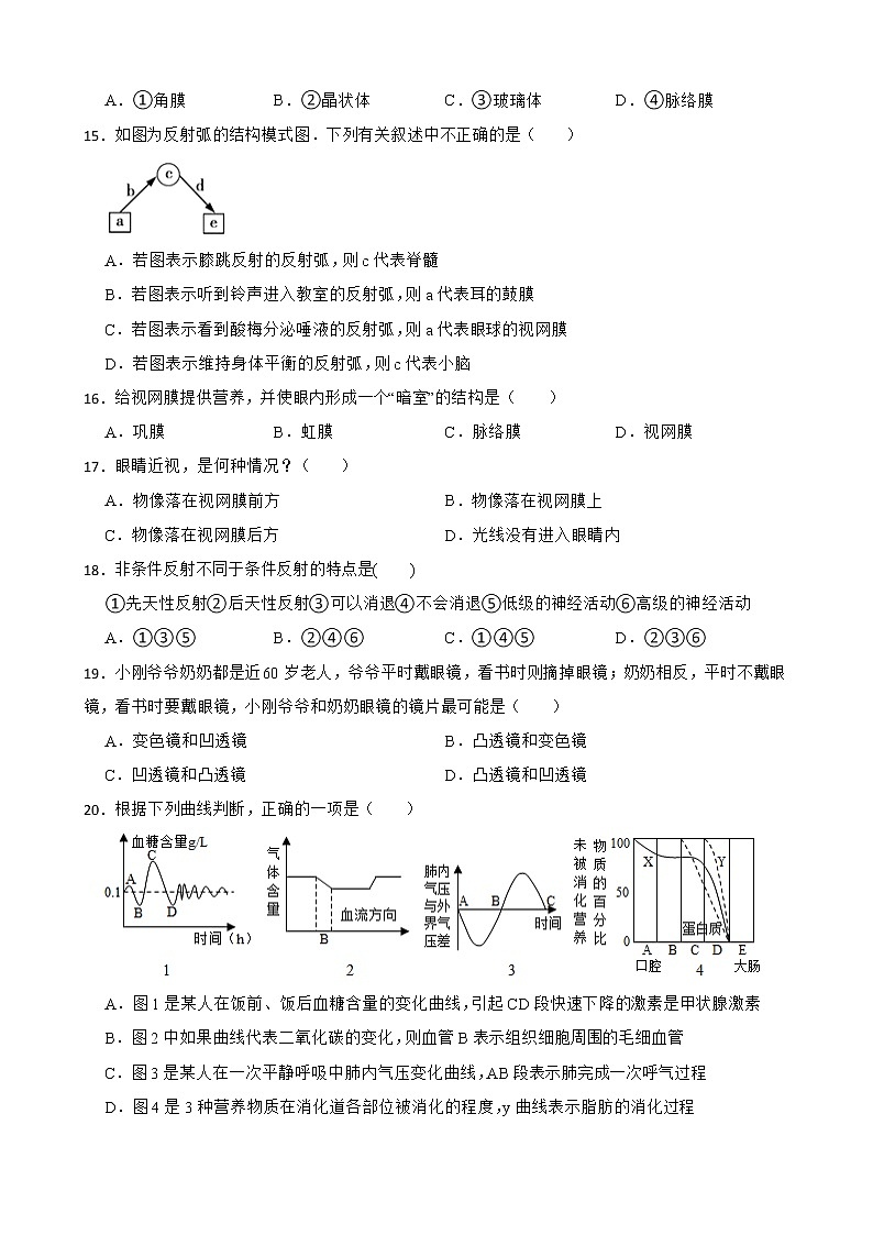 初中生物中考复习 【人教版】2023届中考一轮复习专用训练卷—专题15 人体生命活动的调节（ 含解析）03