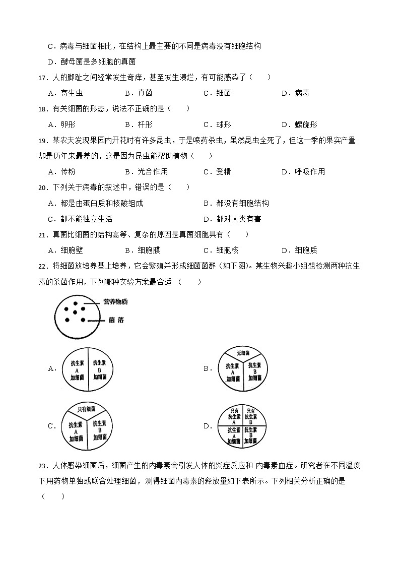 初中生物中考复习 【人教版】2023届中考一轮复习专用训练卷—专题19 动物在生物圈中的作用、细菌和真菌、病毒（ 含答案）第3页
